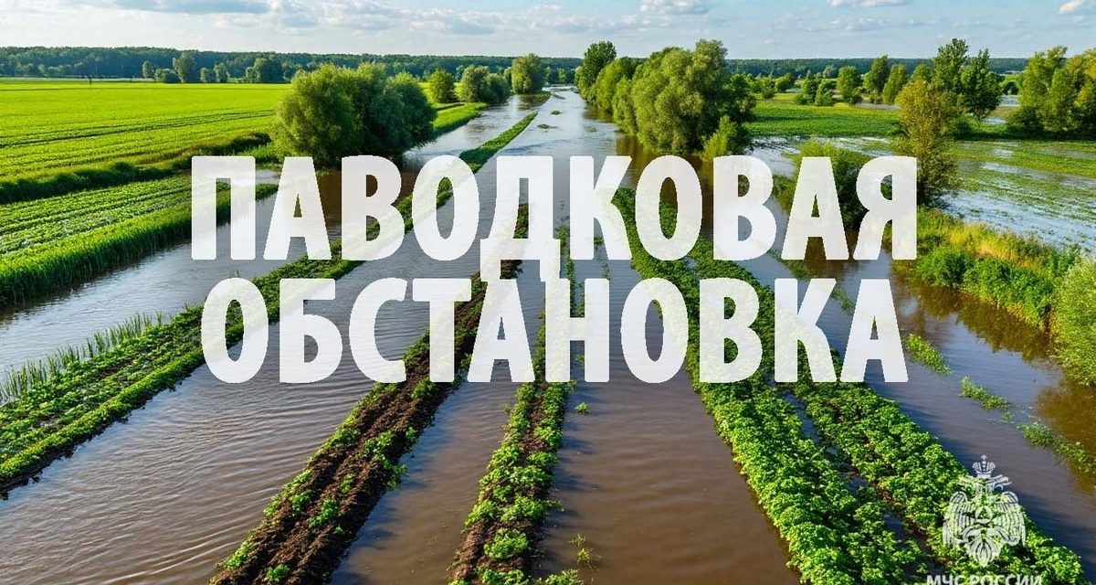 Паводок в районе им. Лазо подтопил 35 участков и один жилой дом