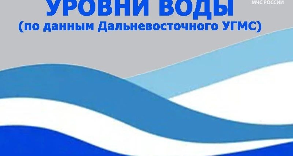 Амур у Хабаровска поднялся до 509 см при опасной отметке 600 см
