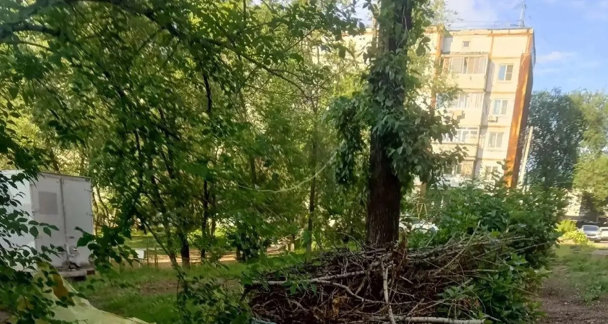 Жительница переулка Кедрового пожаловалась на мусор под окнами — его вывезли